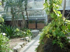 福岡市植物園