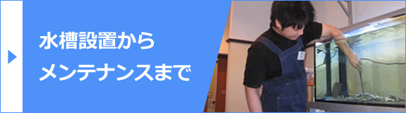 水槽設置から メンテナンスまで