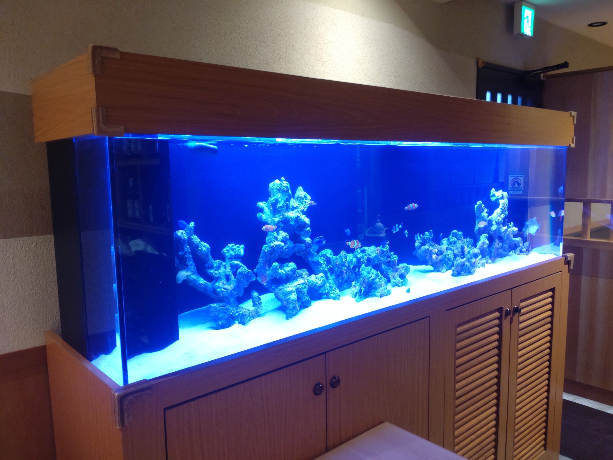特注2400オーバーフロー水槽
