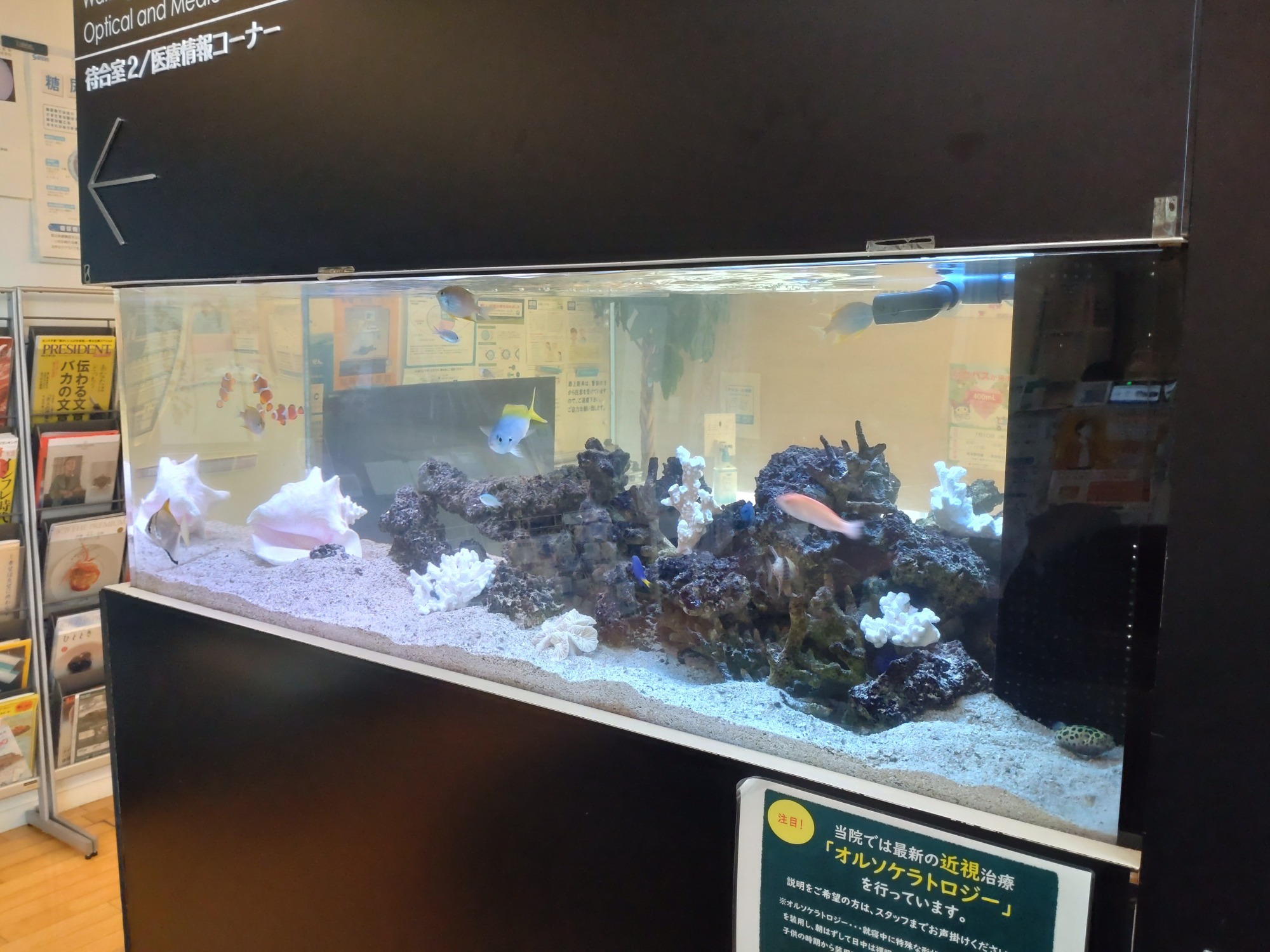 特注2400オーバーフロー水槽