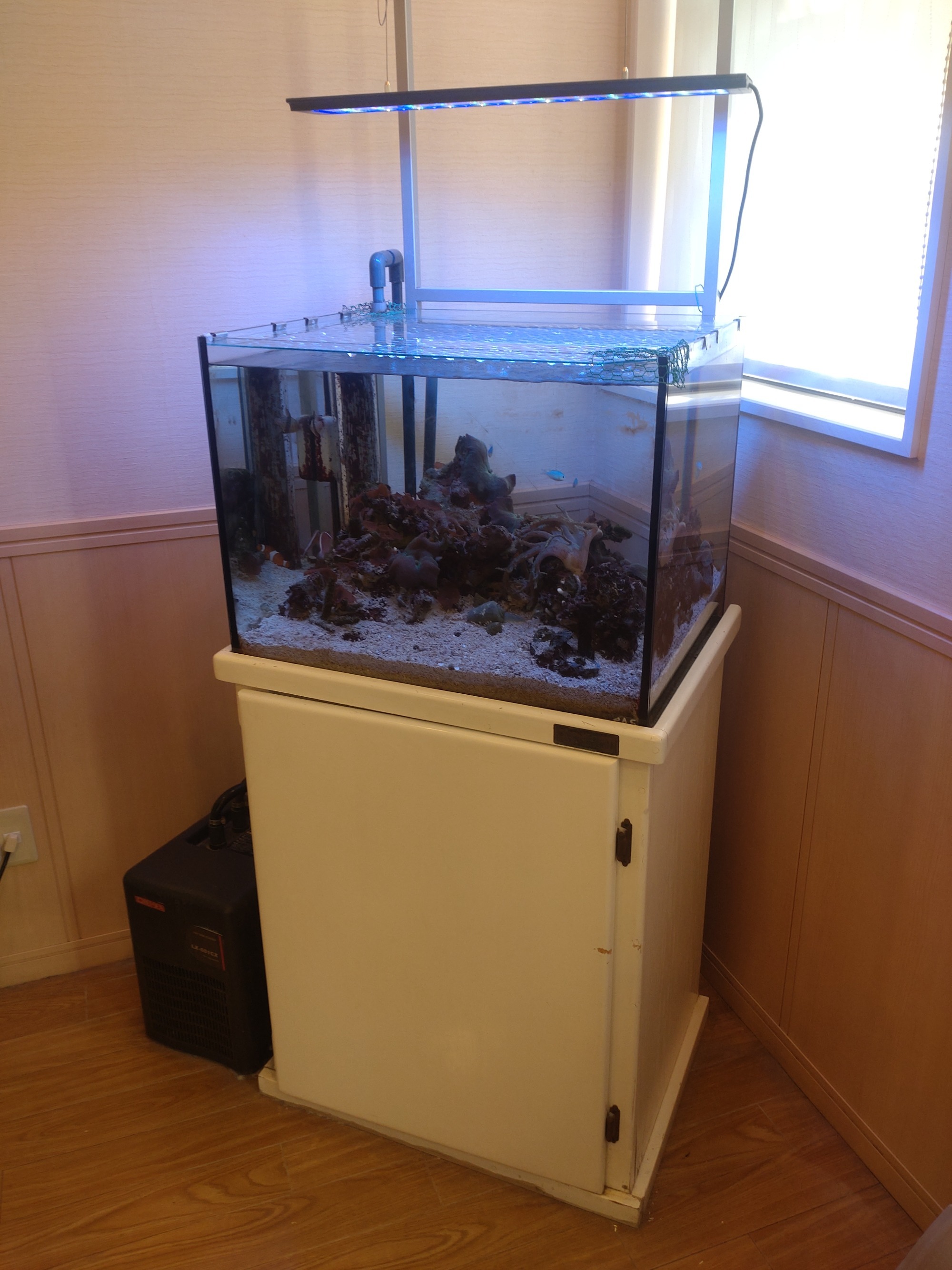 特注2400オーバーフロー水槽