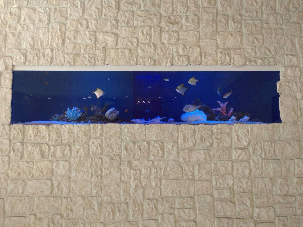 特注2500オーバーフロー水槽