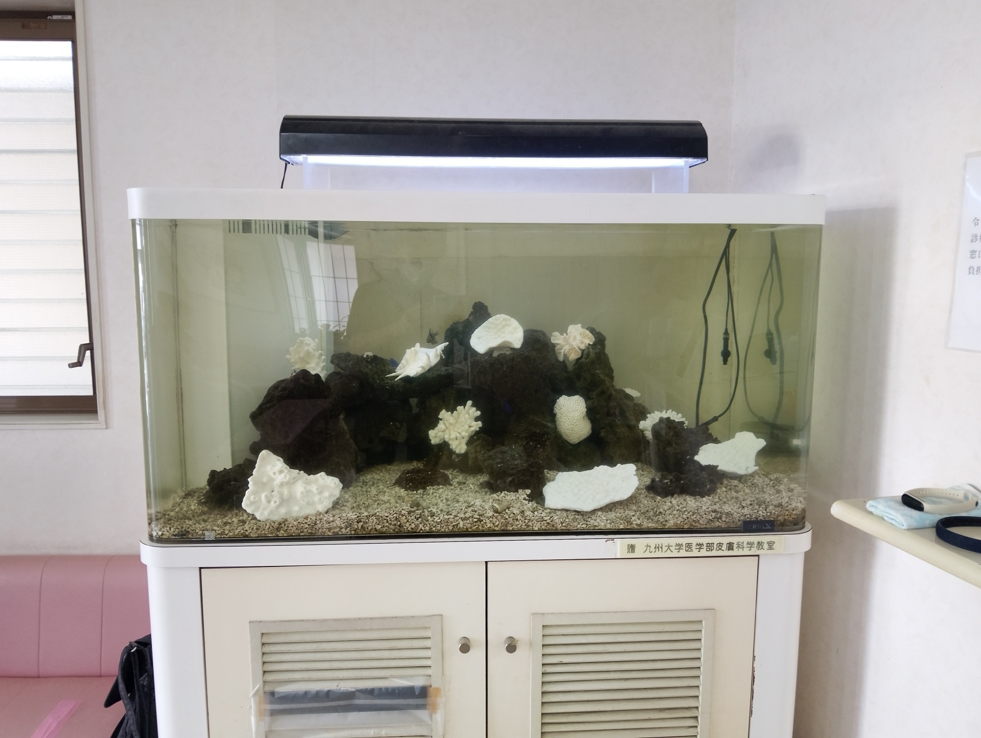 特注2400オーバーフロー水槽