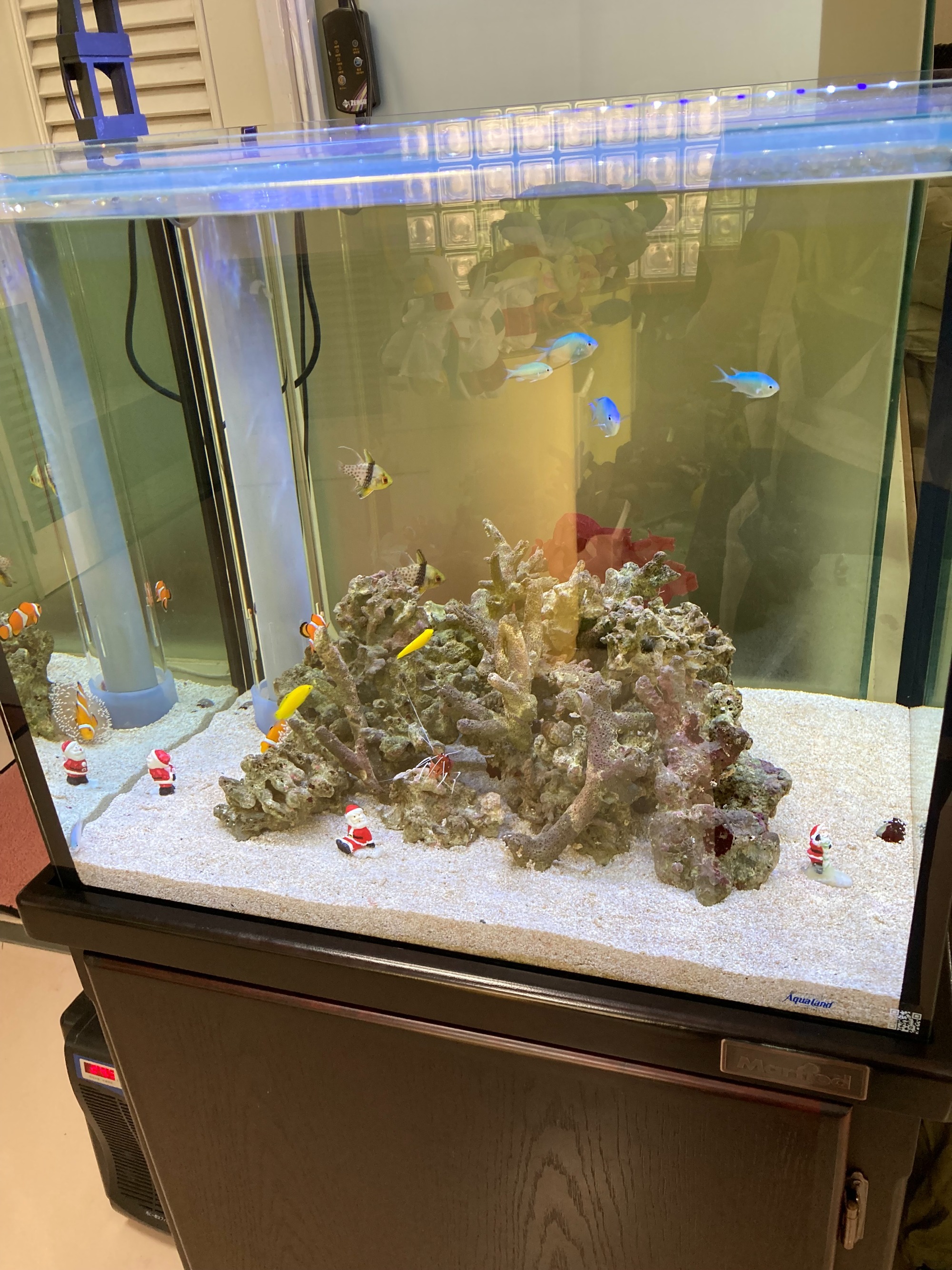 特注2500オーバーフロー水槽