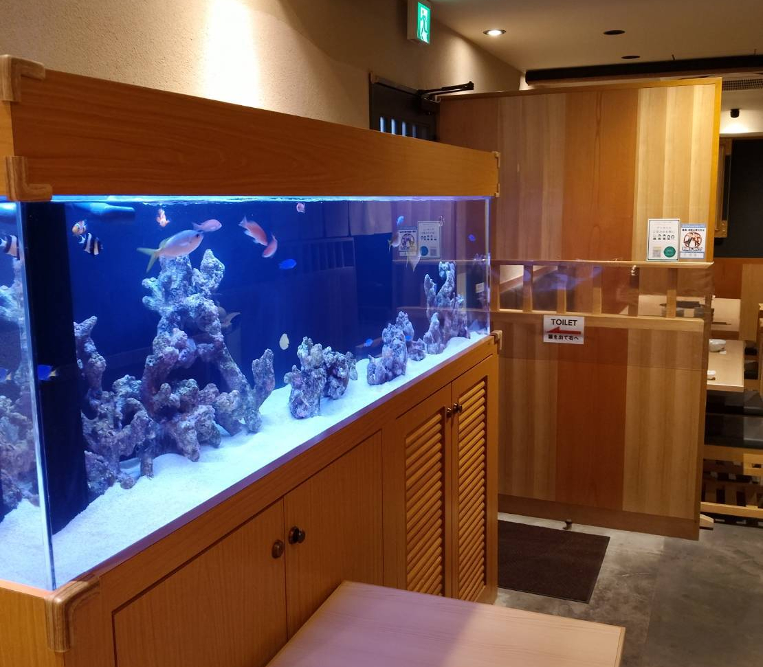 特注2400オーバーフロー水槽