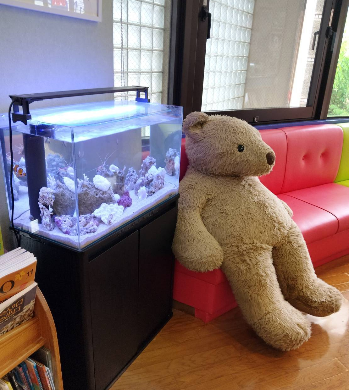 特注2400オーバーフロー水槽