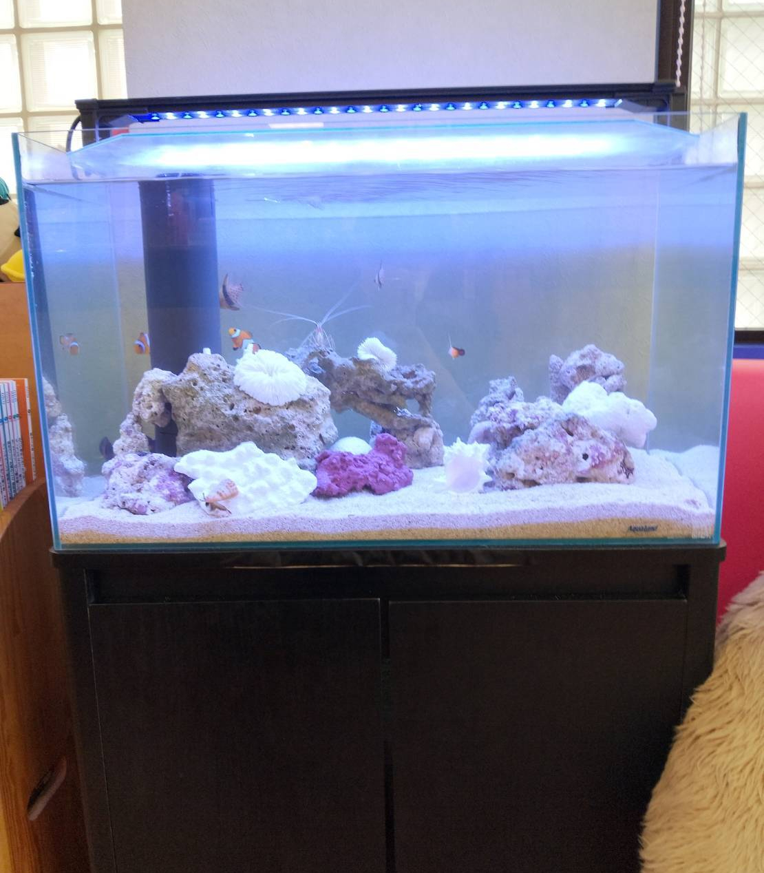 特注2400オーバーフロー水槽