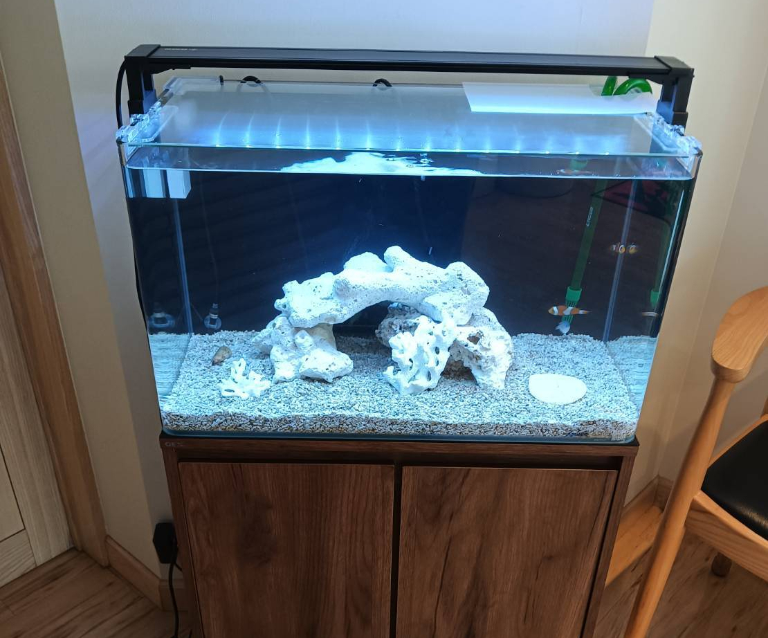 特注2400オーバーフロー水槽