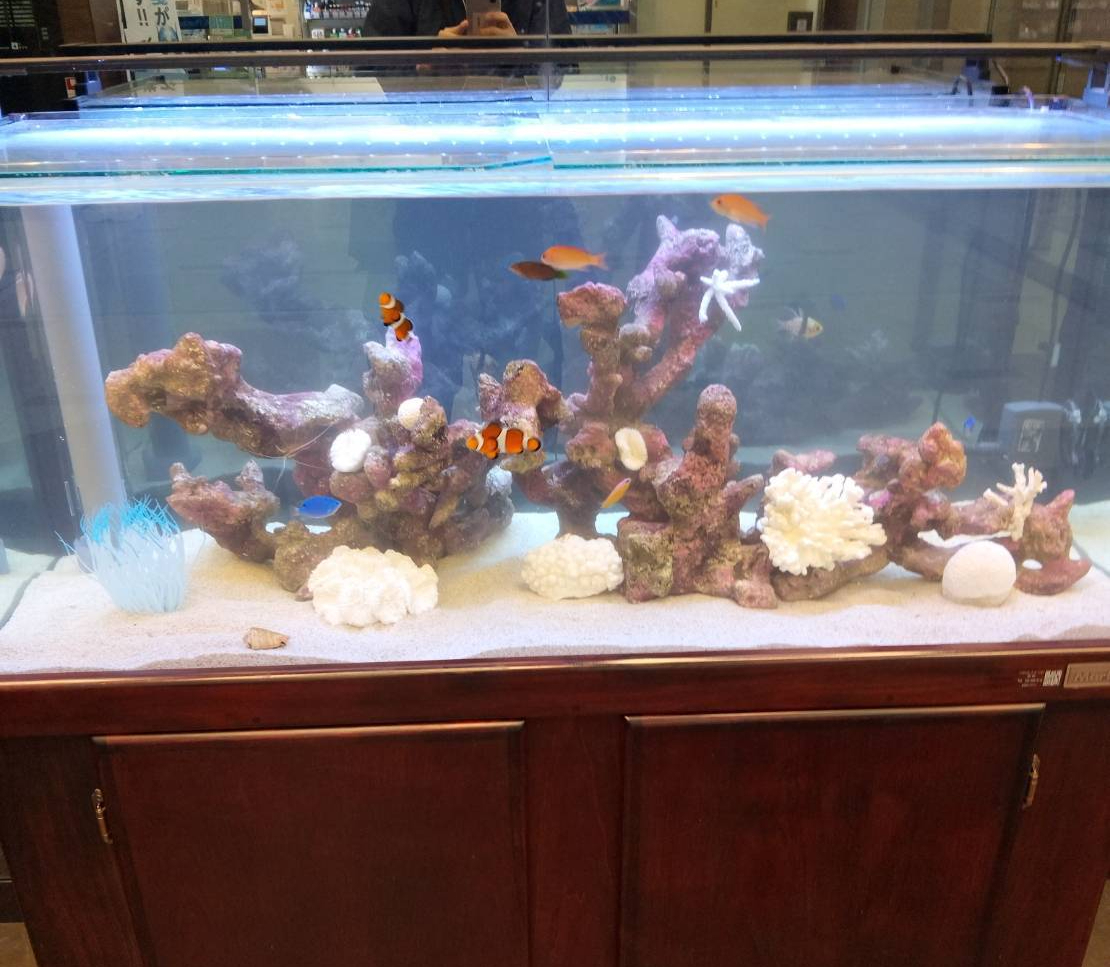特注2400オーバーフロー水槽