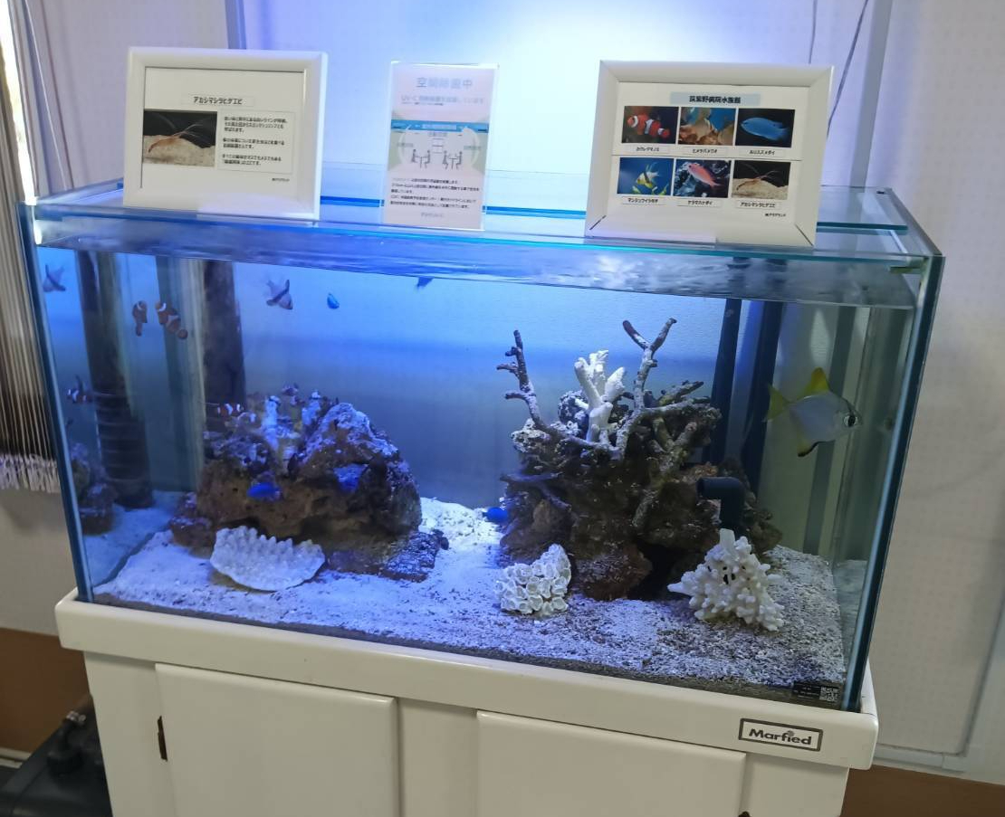 特注2400オーバーフロー水槽