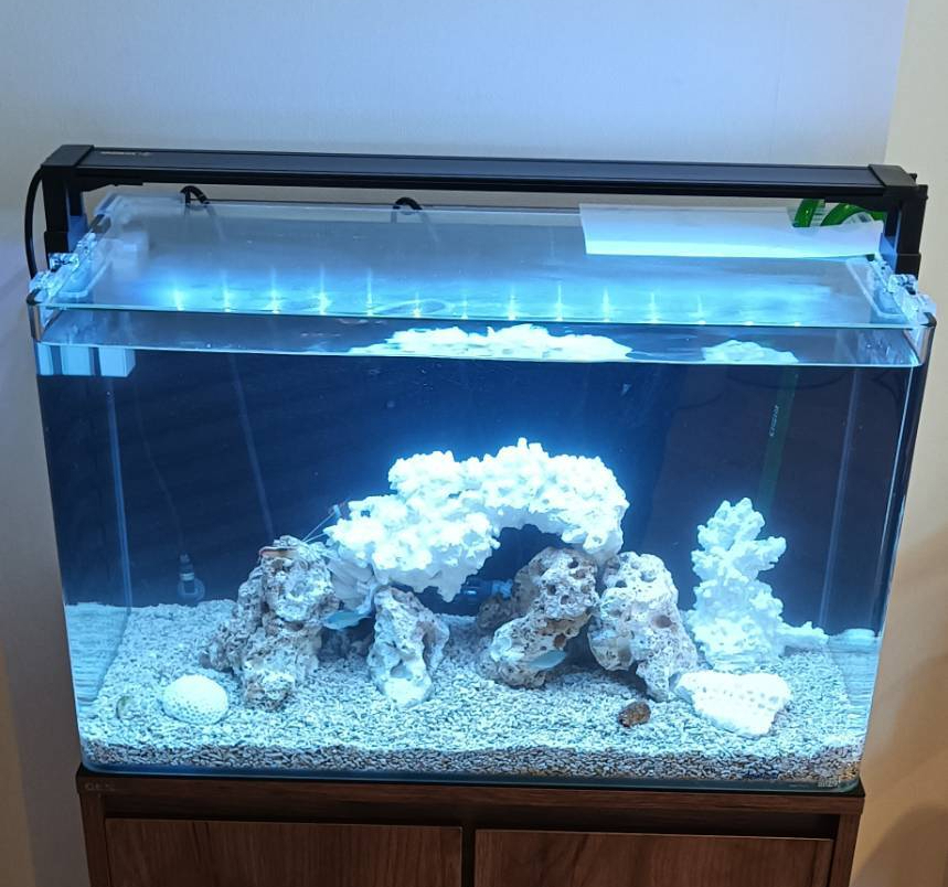 特注2400オーバーフロー水槽