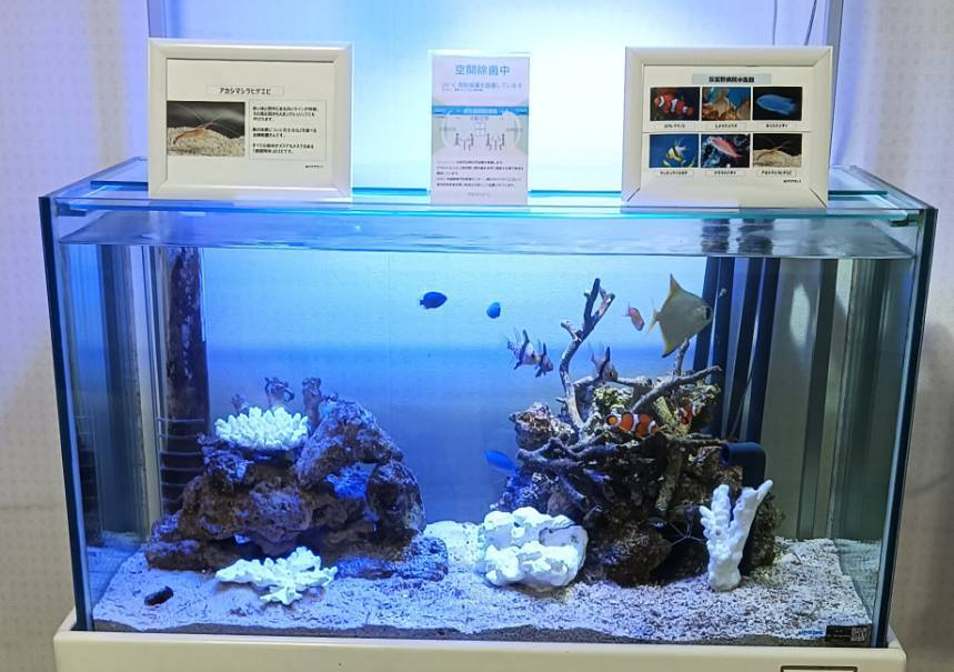 特注2400オーバーフロー水槽