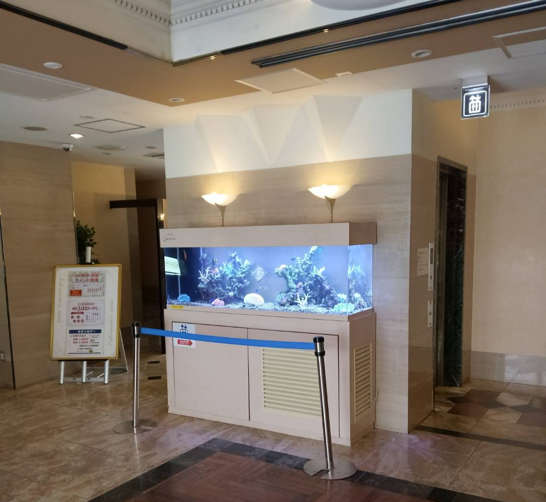 特注2400オーバーフロー水槽