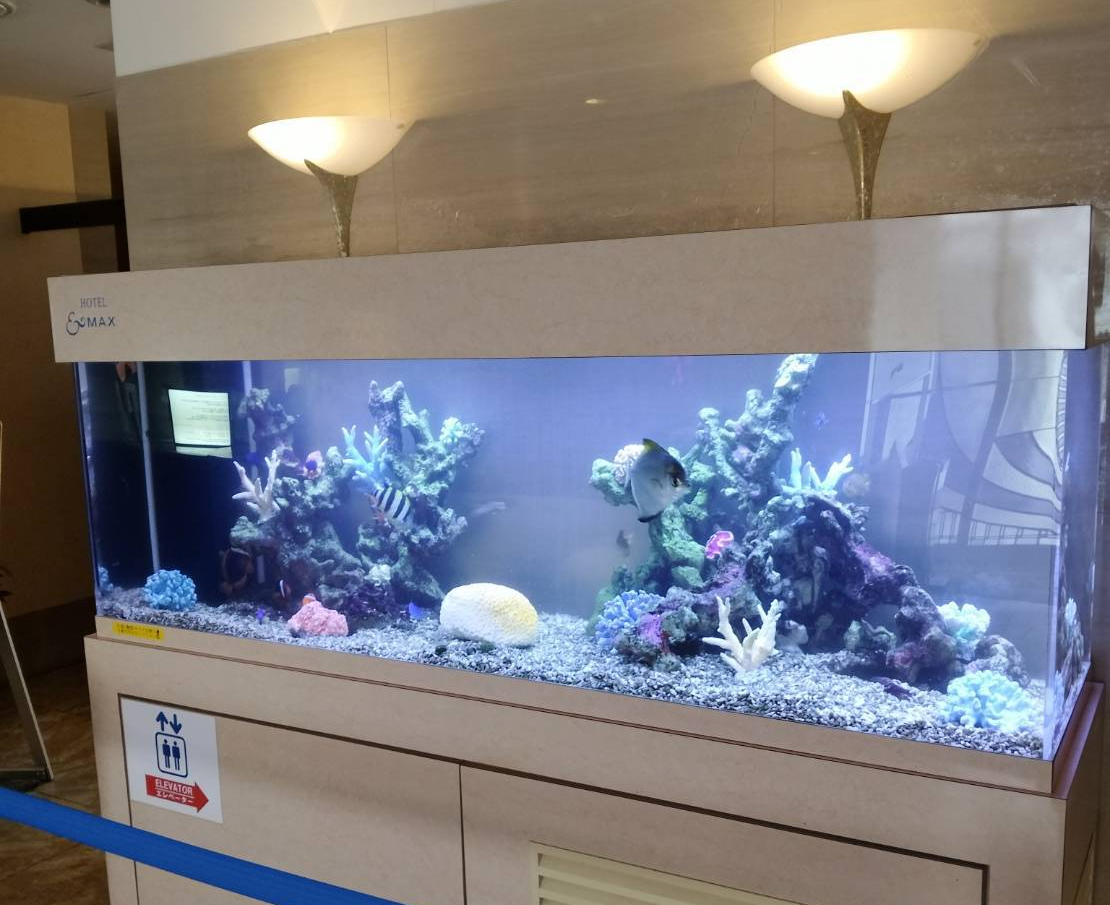 特注2400オーバーフロー水槽