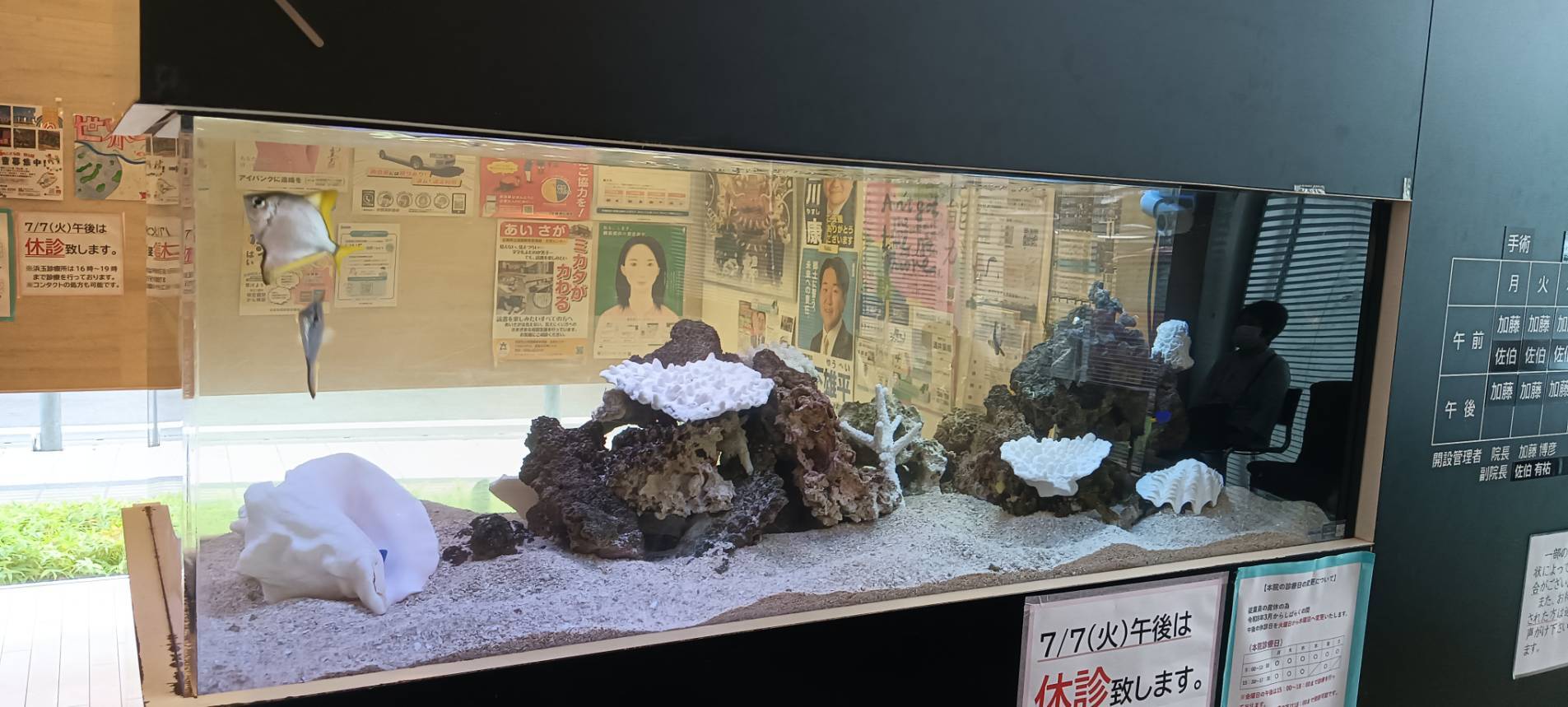 特注2400オーバーフロー水槽