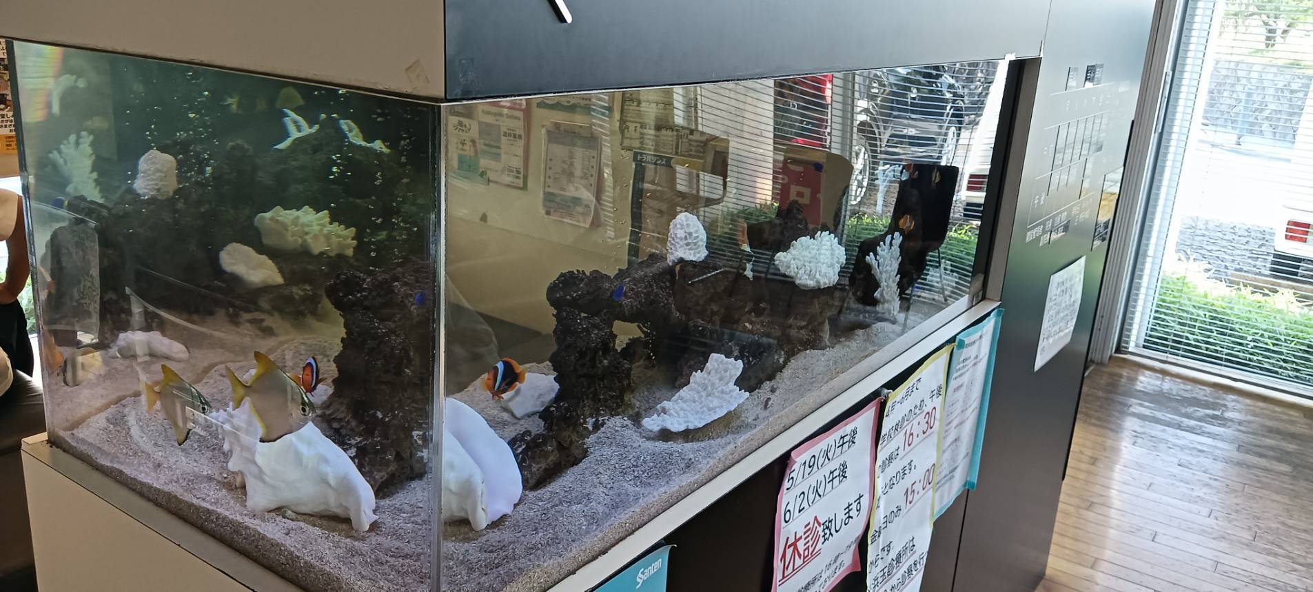 特注2400オーバーフロー水槽