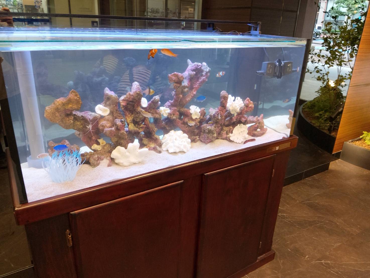 特注2400オーバーフロー水槽