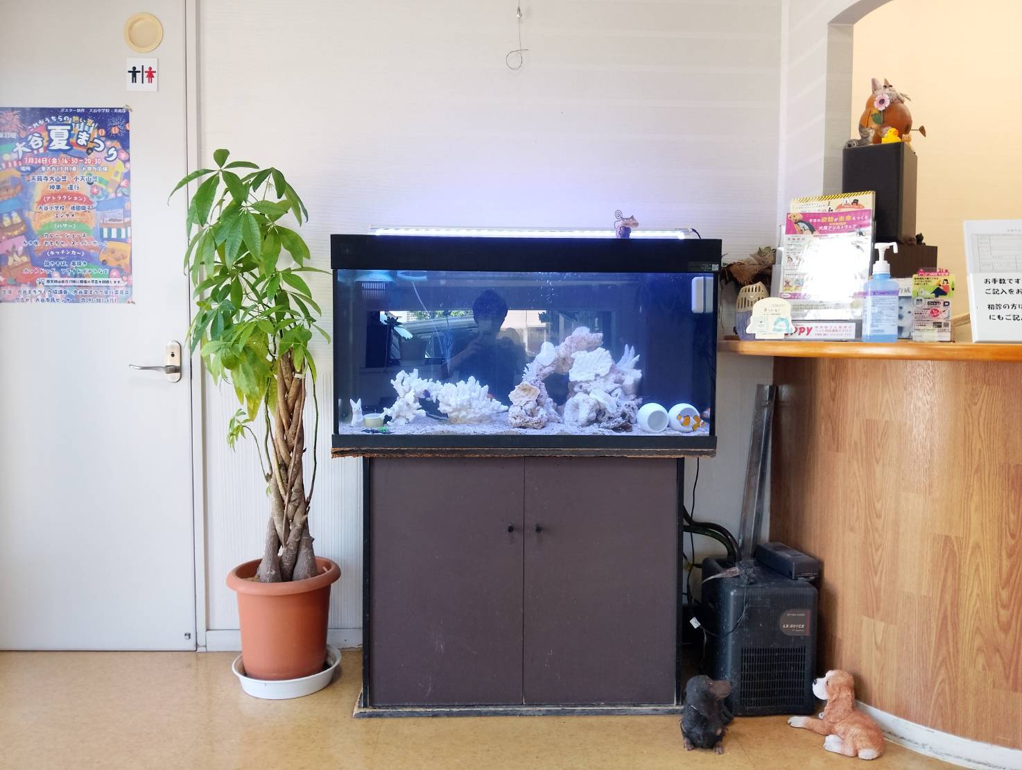 特注2400オーバーフロー水槽