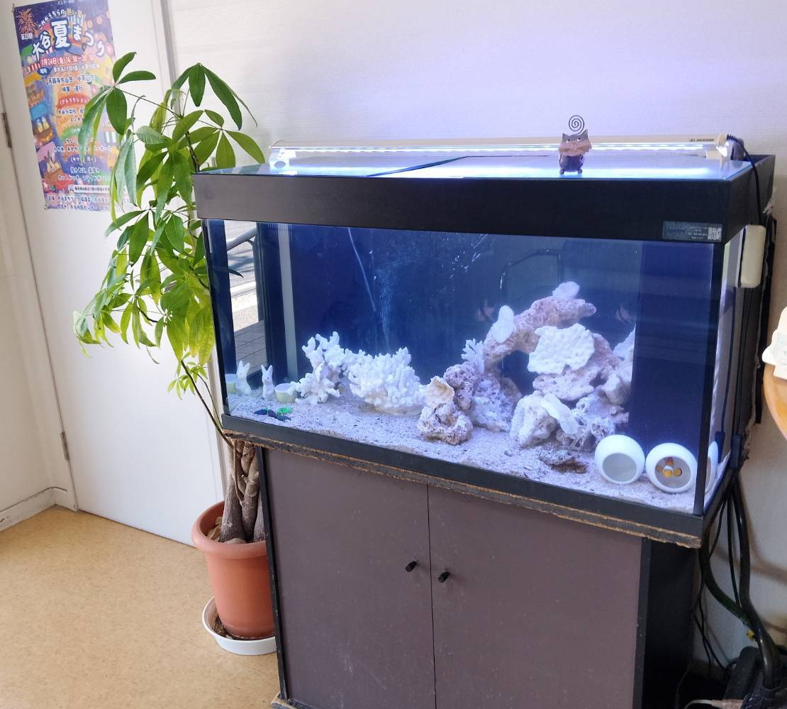 特注2400オーバーフロー水槽